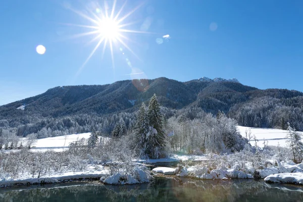 Plano Escénico Hermoso Bosque Invierno Día Soleado —  Fotos de Stock