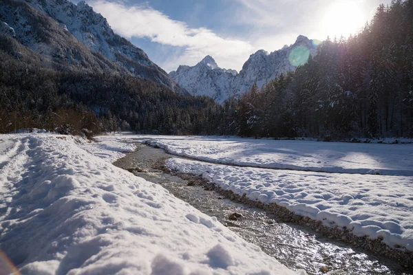 Snowy Landscape Sunny Winter Day — kuvapankkivalokuva