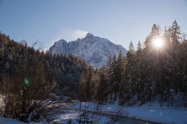 Sun Flared Shot Beautiful Winter Landscape — kuvapankkivalokuva