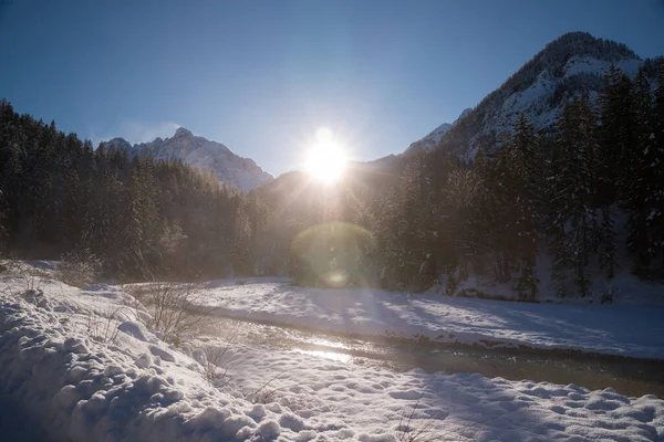 Zon Flared Van Winterlandschap Geschoten Zonnige Dag — Stockfoto