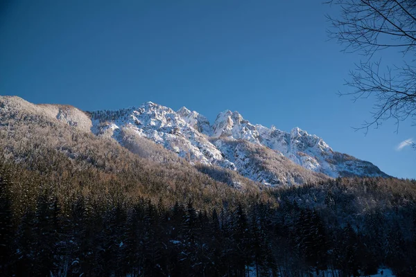 Winter Landscape Shot Beautiful Sunny Day — kuvapankkivalokuva