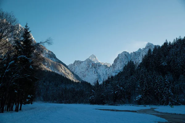 Beautiful Winter Landscape Shot Sunny Day – stockfoto