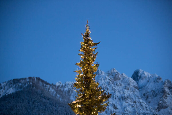 Pine Tree Covered Christmas Lights Royalty Free Stock Photos