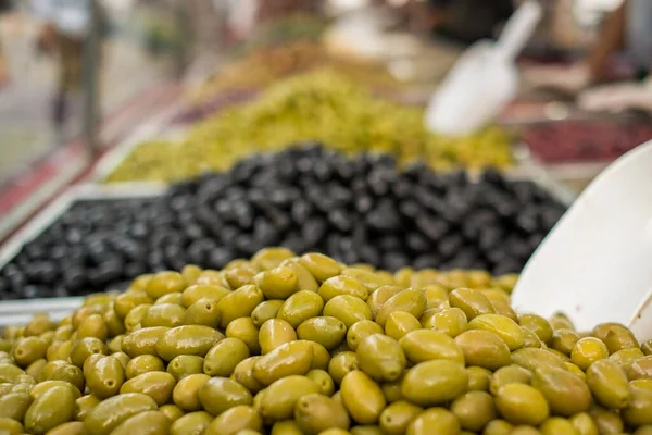 Freshly Picked Green Black Olives – stockfoto