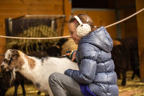 Little Girl Petting Friendly Goat Zoo – stockfoto