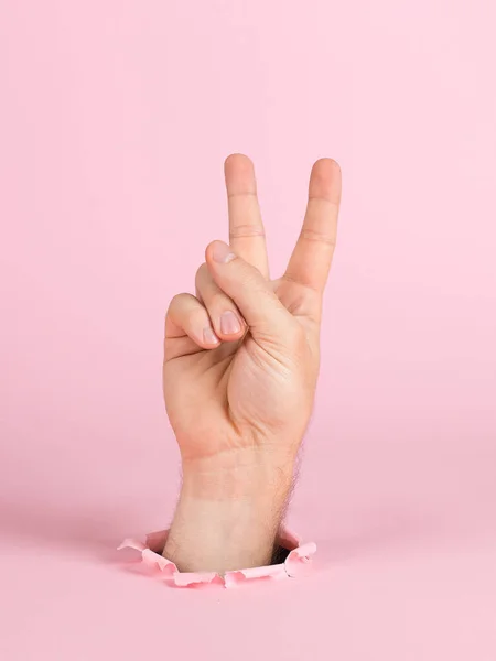 Männliche Hand ragt aus einem Loch in Papier, auf rosa Hintergrund. Zeichen mit zwei Fingern, Frieden, Kopierraum. — Stockfoto