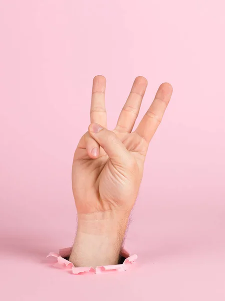 Männliche Hand ragt aus einem Loch in Papier, auf rosa Hintergrund. Drei Fingerzeichen, Leerzeichen kopieren. — Stockfoto