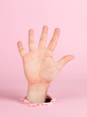 Male hand sticks out of a hole in paper, on a pink background. Five finger sign, copy space.