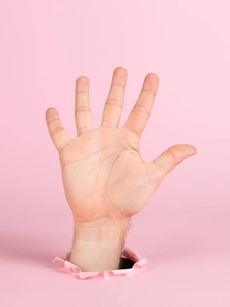 Männliche Hand ragt aus einem Loch in Papier, auf rosa Hintergrund. Fünf Fingerzeichen, Leerzeichen kopieren. — Stockfoto