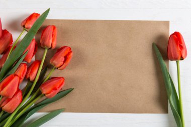 Kırmızı laleler ve mavi arkaplanda el işi kağıt şablonu, öğretmenler günü için bir kartpostal için de boş. Boşluğu kopyala.