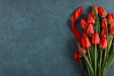 Kırmızı laleler mavi arka planda, kartpostallar boş, bahar tatili, Anneler Günü. Boşluğu kopyala.