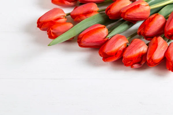 Red tulips on white table, background frame, text blank. Copy space.