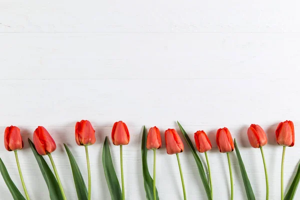 Red tulips on white table, background frame, text blank. Copy space.