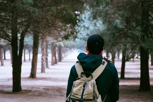 Jeune voyageur trekking dans les bois avec sac à dos le long du chemin — Photo