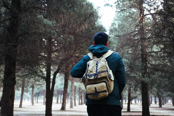 Jeune voyageur trekking dans les bois avec sac à dos le long du chemin — Photo