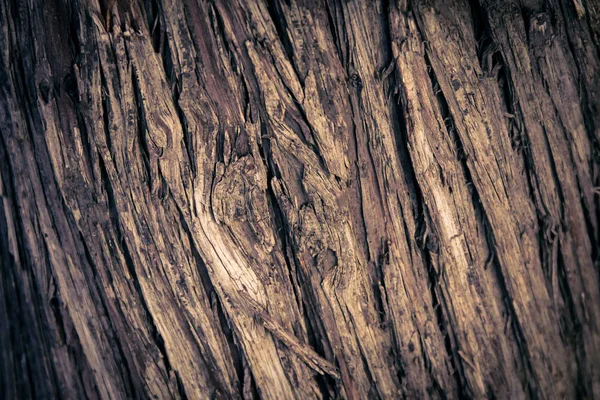 Vertical diagonal tree wood texture lines in detail in vignettes — Stock Photo, Image