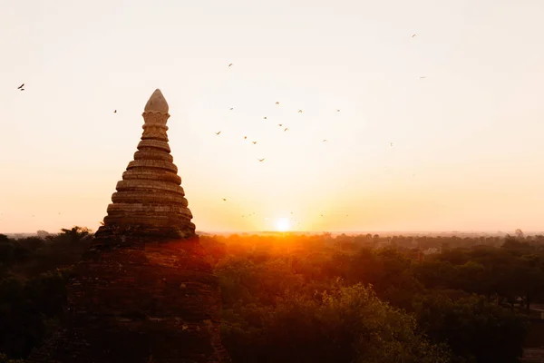 Buddha bentuk candi terhadap cahaya matahari selama matahari terbit . — Stok Foto