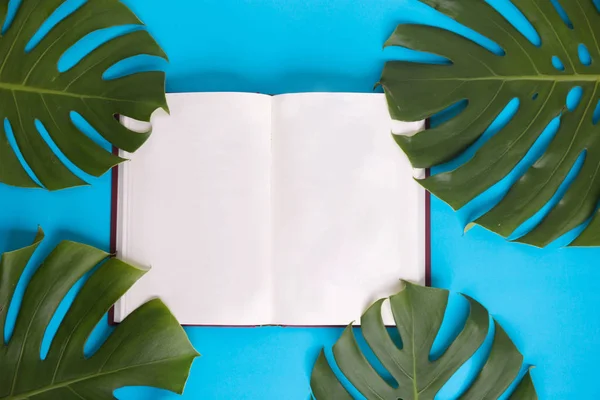 Vista superior - Livro aberto com páginas em branco decoradas com folhas monstera verdes sobre fundo azul pastel - com espaço de cópia — Fotografia de Stock
