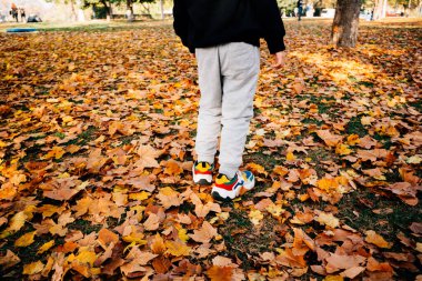 Bir çocuk parktaki düşen turuncu ve kırmızı akçaağaç yapraklarının üzerinde duruyor.
