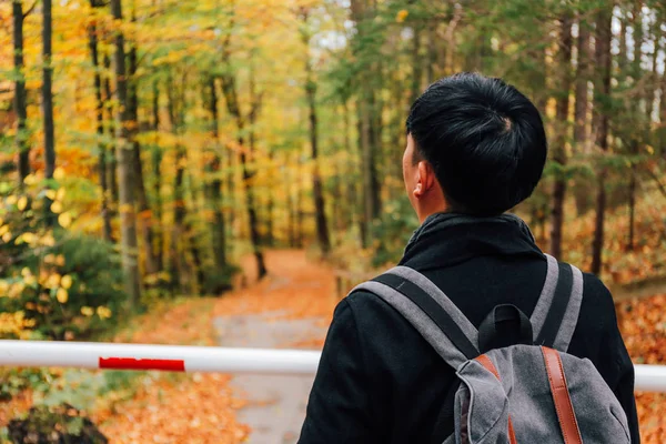 Young male Asian tourist in Germany, Europe during autumn fall season with colorful yellow forest of trees