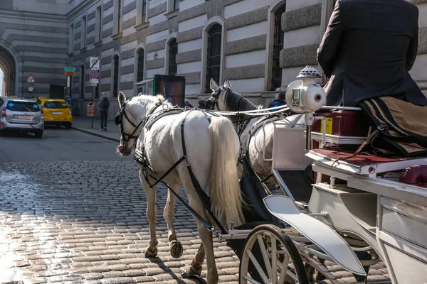 Horse carriage on old city street — Stock Photo, Image