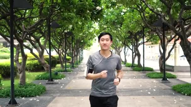 Man joggar på gångväg i parken — Stockvideo