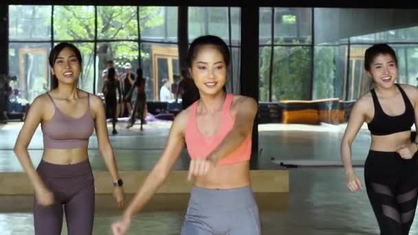 Vrouwelijke fitnessvrouwen die samen een Latijnse dansles hebben in een fitnessstudio. Groep jonge sportieve vrouwen die handen in de lucht steken — Stockvideo