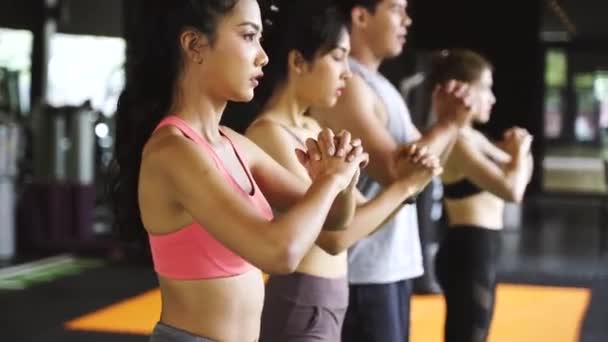 Gruppe athletischer junger asiatischer Menschen in Sportbekleidung, die in der Turnhalle hocken und trainieren. intensives Training und gesunder Lebensstil — Stockvideo