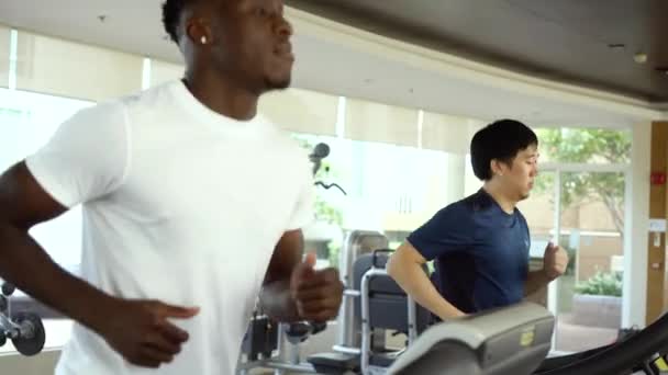 Multiracionális sportolók dolgoznak a futópadokon a tornateremben nappal. Többnemzetiségű ázsiai és afro-amerikai futópadon futó hímek — Stock videók