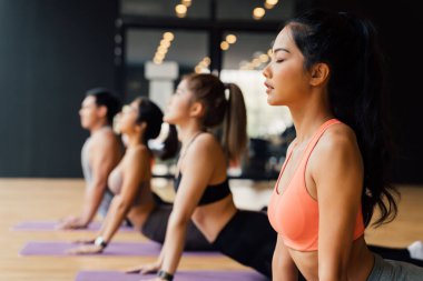 Group of Asian fitness people doing yoga upward facing dog pose on mats at yoga studio. Young women and man exercising at gyn