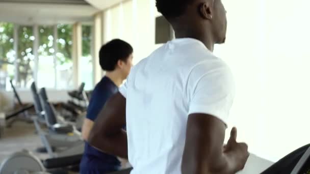 Des sportifs multiraciaux s'entraînent sur des tapis roulants dans un gymnase le jour. Hommes asiatiques et afro-américains multiethniques qui courent sur tapis roulant — Video