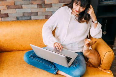 30 'lu yılların Asyalı iş kadını ev bilgisayarında çalışıyor. Genç yetişkin bir kadın kanepesinde oturuyor ve Chihuahua köpeğiyle birlikte bilgisayarda daktilo yazıyor. Uzak çalışma teknolojisi kavramı