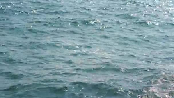 Ocean water waves closeup video — Stock Video