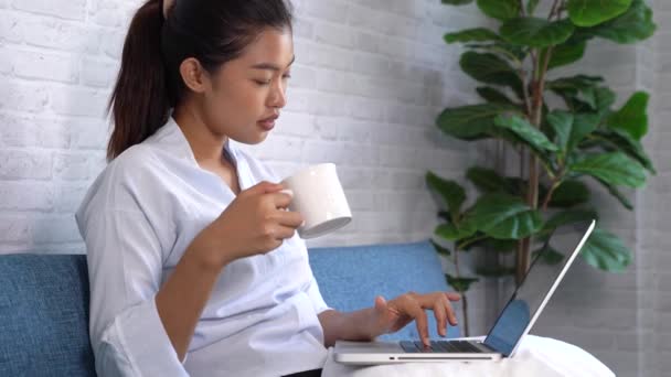 Mujer asiática joven que trabaja en el ordenador portátil mientras sostiene y bebe café. Hermosa chica sonriente sentada en un sofá mientras trabaja en casa — Vídeos de Stock