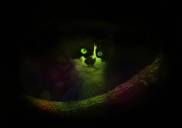 Kot z Cheshire w drzewo — Zdjęcie stockowe