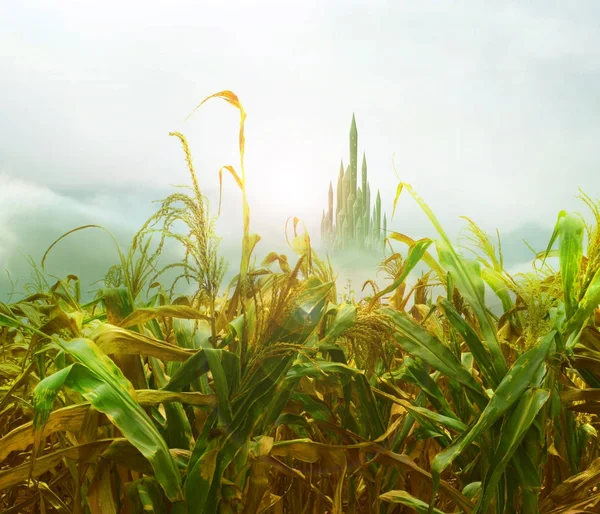 emerald city from cornfield