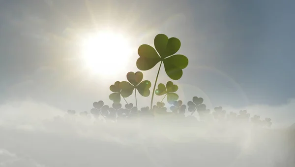 Field Shamrocks Mist — Stock Photo, Image