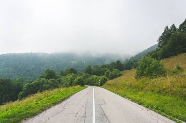 Düz araba yolu dağ yamacında yemyeşil çalıların ve ağaçların arasında kalın sisle kaplı yüksek tepelere doğru ilerliyor.