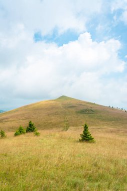 Uzak dağların önündeki çam ağaçları, kayalar ve otlaklar ile bulutlu mavi gökyüzüne karşı yeşil tepe zirvesi