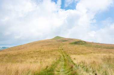 Yeşil tepeye çıkan otlak yol bulutlu mavi gökyüzüne karşı uzak dağların önündeki çam ağaçları, kayalar ve çimenli otlaklar.