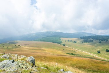 Beyaz asfalt yol yeşil vadide çam ağaçlarıyla dağ zirveleri ve beyaz kabarık bulutlar arasında ilerliyor.