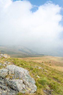 Kayaları, otları ve sisle kaplı çam ağaçları ile kaplı yeşil dağ tepesi berrak mavi gökyüzüne karşı