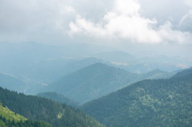 yemyeşil dağ çam ormanı tepeleri kalın sis ve bulutlu gökyüzü altında