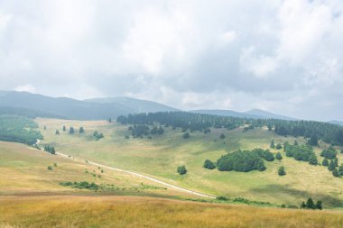 Beyaz asfalt yol yeşil vadide çam ağaçlarıyla dağ zirveleri ve beyaz kabarık bulutlar arasında ilerliyor.