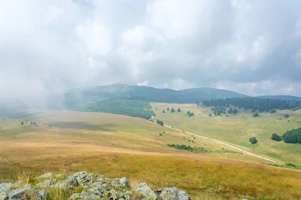 Camino Asfalto Blanco Que Atraviesa Valle Verde Con Árboles Pino —  Fotos de Stock