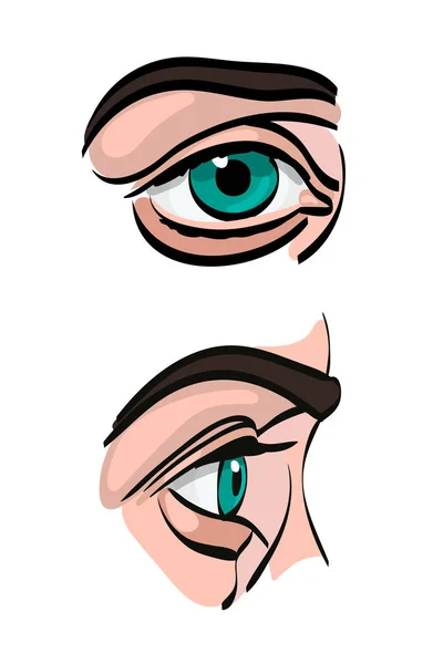 Ojo Humano Ilustración Vectorial Frente Lado Aislado Sobre Blanco Ojo — Archivo Imágenes Vectoriales