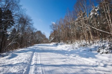 Kış yolun karla kaplı ahşap parlak öğleden sonra üzerinden.
