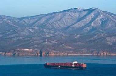 Nakhodka, Primorsky bölge / Rusya-06 Ocak 2017: konteyner gemisi Zim Haifa ayakta çapa, yollarda.