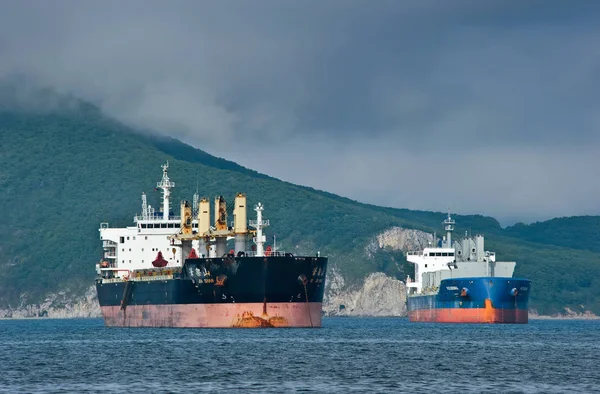 Nakhodka, Přímořský kraj / Rusko-22. července 2015: lodě přepravující hromadný náklad Bi Jia Shan a Patagonie na ukotvených na silnice. — Stock fotografie