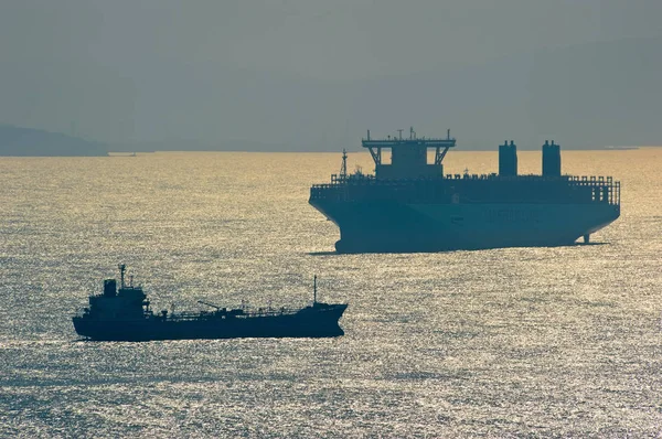 Madrid Maersk gemi tanker Ostrov Russky ve konteyner. — Stok fotoğraf